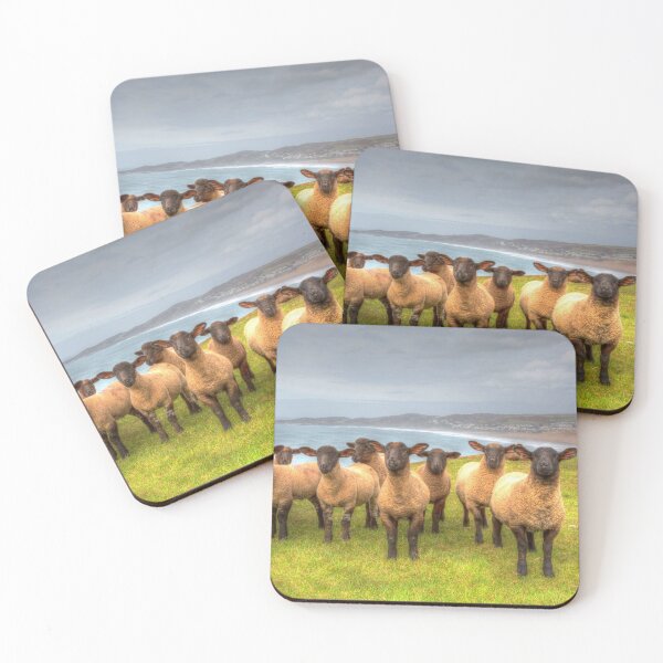 Item preview, Black Face Suffolk Sheep Flock designed and sold by acceleratorhams.
