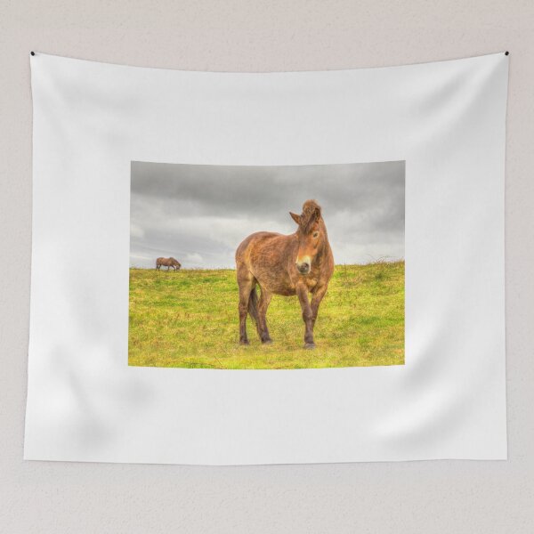 Item preview, Exmoor Ponies Quantock Hills Somerset designed and sold by acceleratorhams.