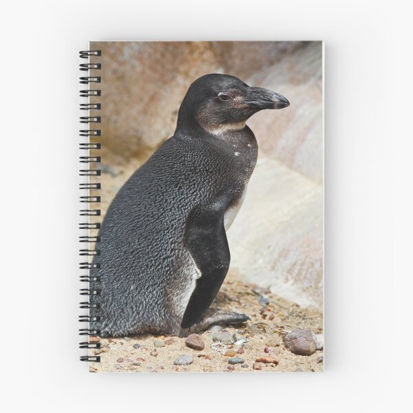 Item preview, Penguin Posing designed and sold by Michiale.