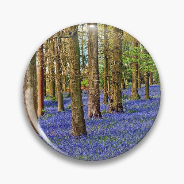 Item preview, Bluebell Woods Greys Court Oxfordshire England UK designed and sold by AndyEvansPhotos.