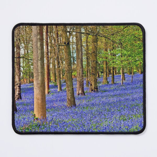 Item preview, Bluebell Woods Greys Court Oxfordshire England UK designed and sold by AndyEvansPhotos.