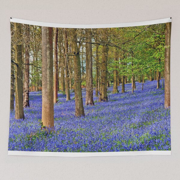 Item preview, Bluebell Woods Greys Court Oxfordshire England UK designed and sold by AndyEvansPhotos.