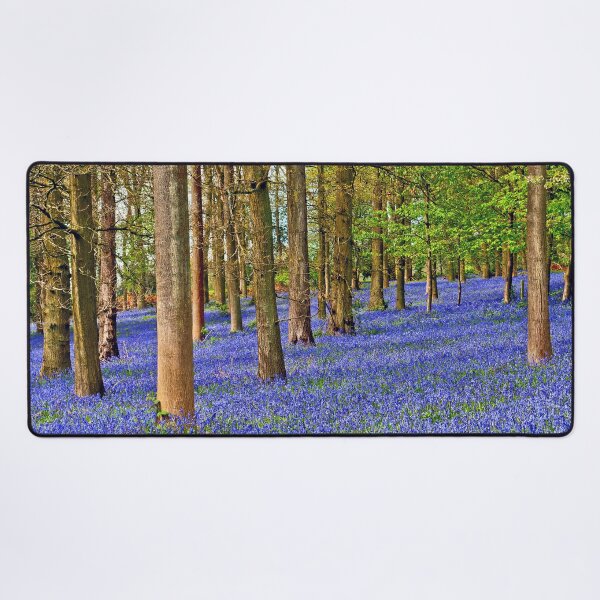 Item preview, Bluebell Woods Greys Court Oxfordshire England UK designed and sold by AndyEvansPhotos.