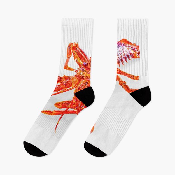 Item preview, lobster photo with high resolution quality designed and sold by Allyouneed-2.