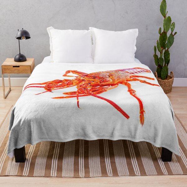 Item preview, lobster photo with high resolution quality designed and sold by Allyouneed-2.