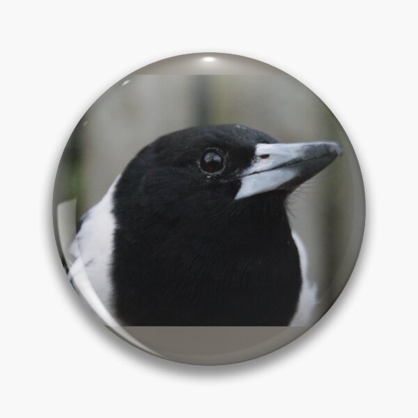 Item preview, Butcherbird Portrait designed and sold by Dragonsfield.