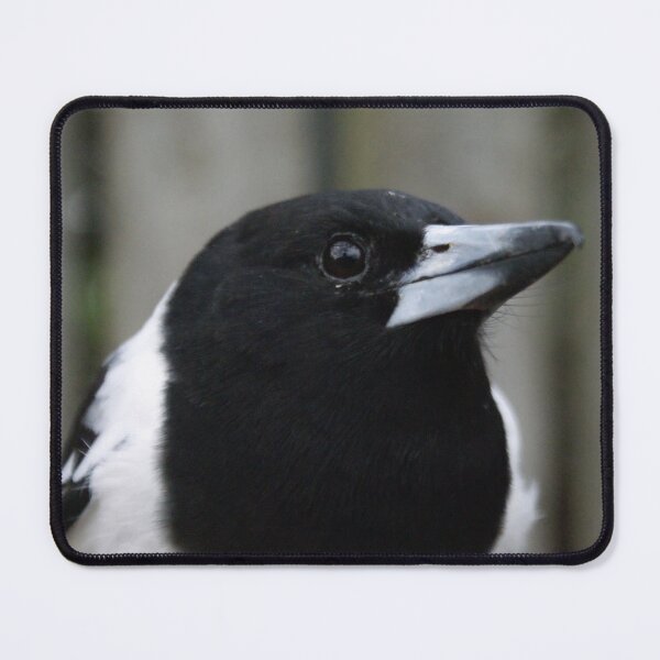 Item preview, Butcherbird Portrait designed and sold by Dragonsfield.