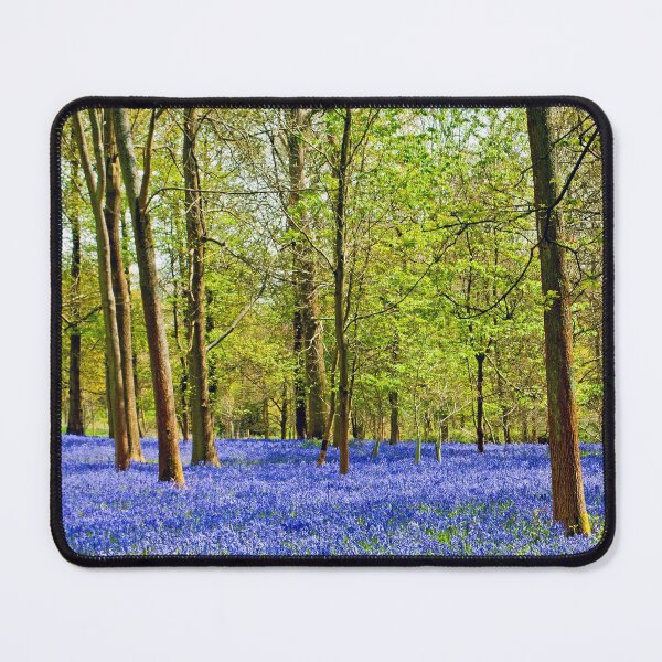 Item preview, Bluebell Woods Greys Court Oxfordshire England UK designed and sold by AndyEvansPhotos.