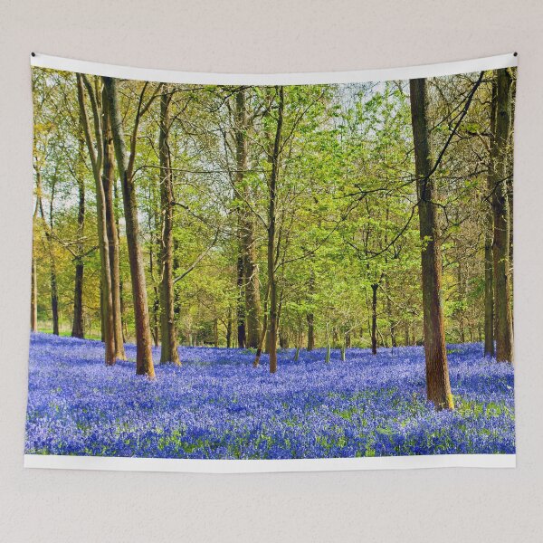 Item preview, Bluebell Woods Greys Court Oxfordshire England UK designed and sold by AndyEvansPhotos.