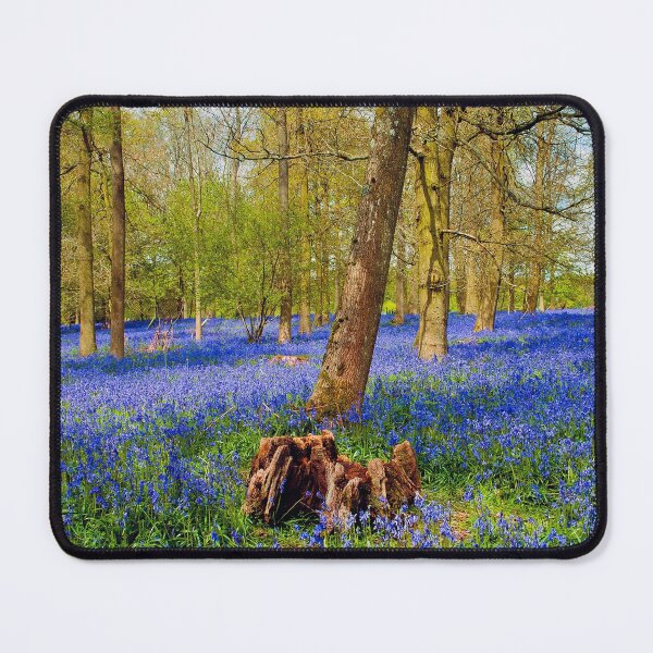 Item preview, Bluebell Woods Greys Court Oxfordshire England UK designed and sold by AndyEvansPhotos.