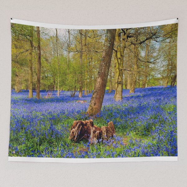 Item preview, Bluebell Woods Greys Court Oxfordshire England UK designed and sold by AndyEvansPhotos.