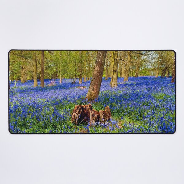 Item preview, Bluebell Woods Greys Court Oxfordshire England UK designed and sold by AndyEvansPhotos.