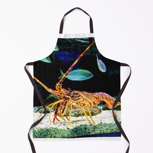 Item preview, lobster photo with high resolution quality designed and sold by Allyouneed-2.