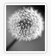 Seedhead Sticker
