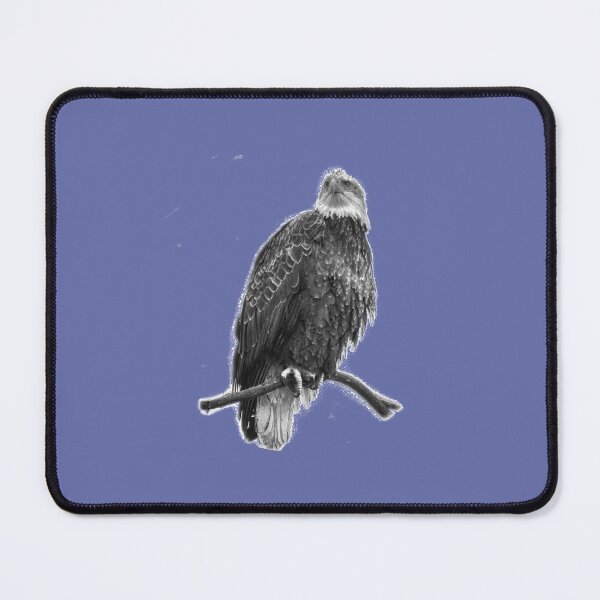 Item preview, The American Bald Eagle   designed and sold by TaycraftUSA.