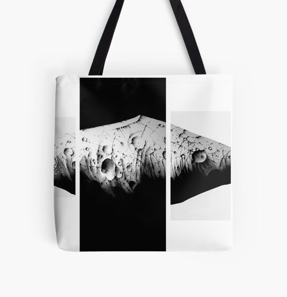 Galactic rock Tote bag doublé