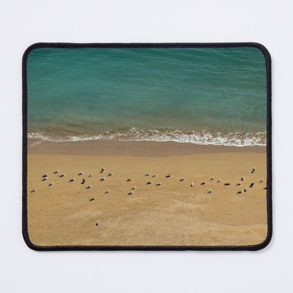 Item preview, Seagulls Relaxing in Deserta Beach designed and sold by AngeloDeVal.
