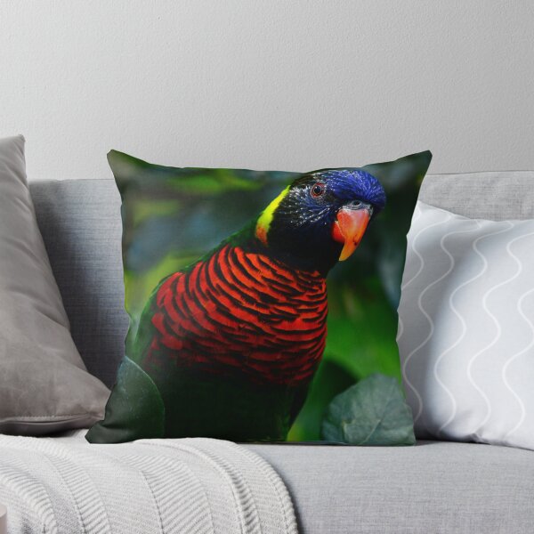 Item preview, el pequeño lorito arcoiris designed and sold by JoeEJackson.