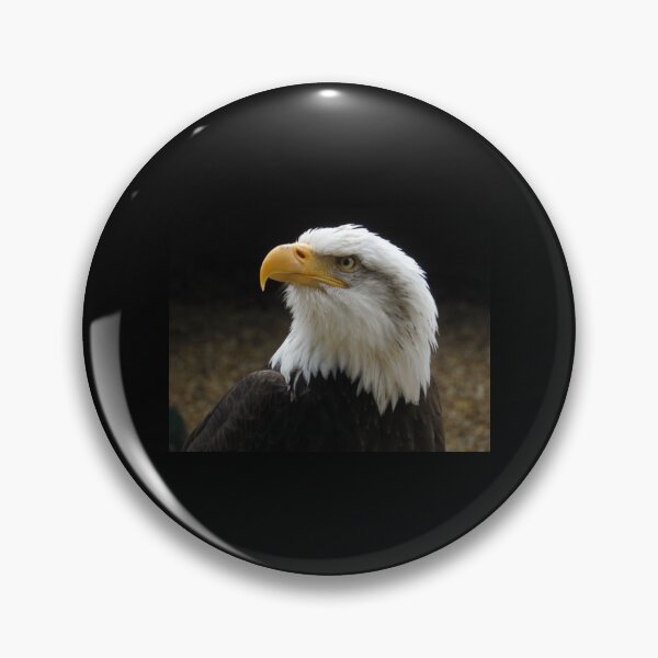 Item preview, The Bold Bald Eagle. Premium  designed and sold by TaycraftUSA.