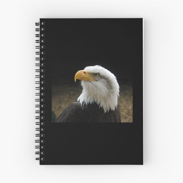 Item preview, The Bold Bald Eagle. Premium  designed and sold by TaycraftUSA.