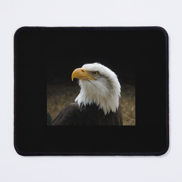 Item preview, The Bold Bald Eagle. Premium  designed and sold by TaycraftUSA.