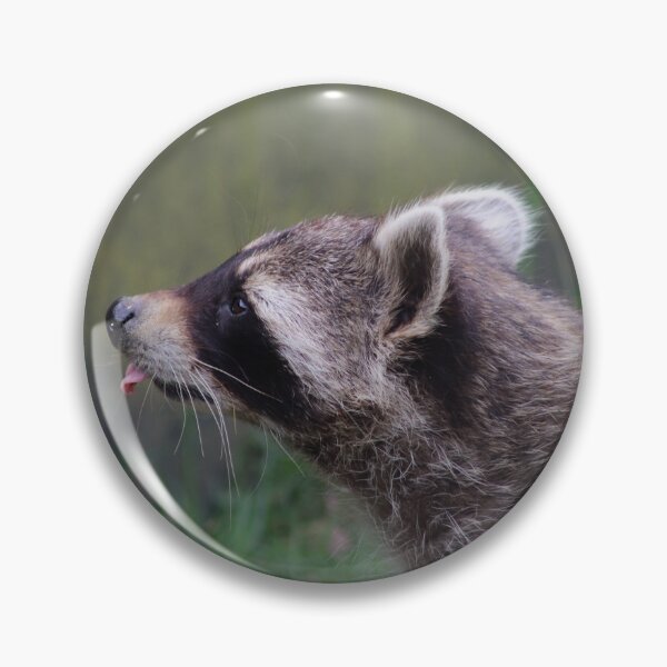 Item preview, Portrait of a Rude Raccoon designed and sold by Ladymoose.