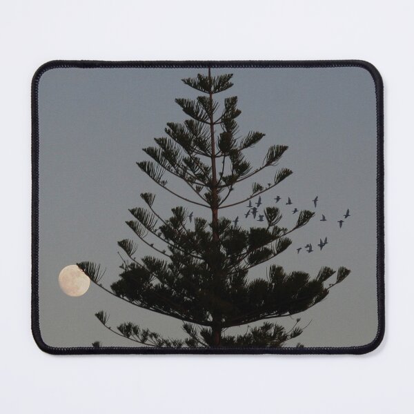 Item preview, Araucaria tree, full moon. flight of birds designed and sold by Anna Lemos.