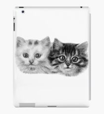 Kittens iPad Case/Skin