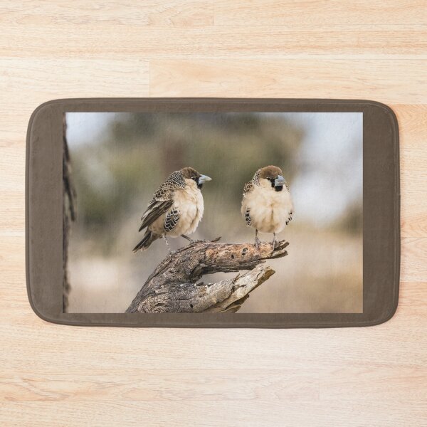 Item preview, Two sociable weavers, Namibia designed and sold by Lyl Dil Creations.