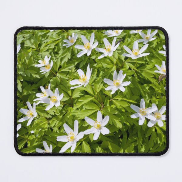 Item preview, Wood Anemone designed and sold by Vac1.