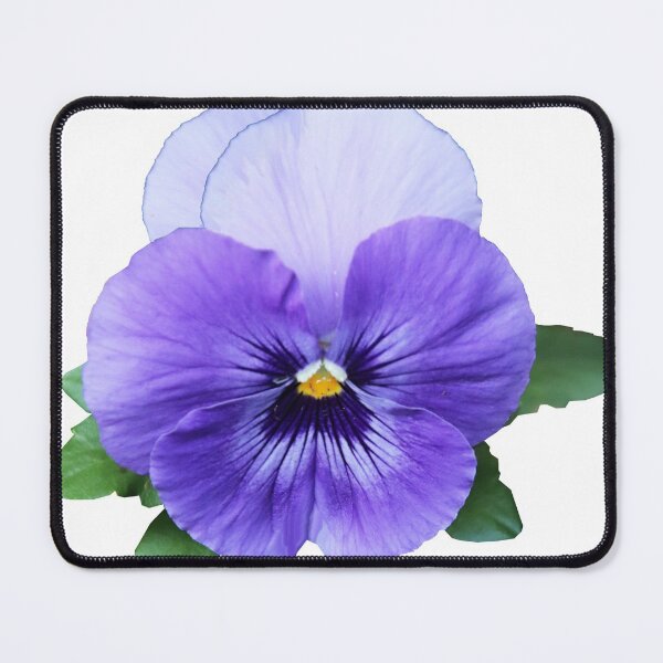 Item preview, Year of the Pansy designed and sold by NationalGarden.