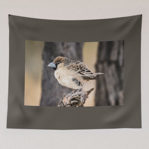 Item preview, Sociable weaver, Etosha, Namibia designed and sold by Lyl Dil Creations.