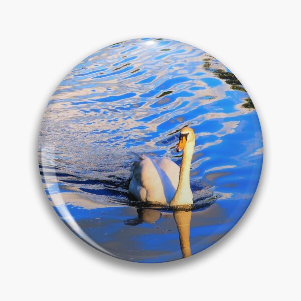 Item preview, Swan on canal swimming gracefully Somerset England near Taunton UK designed and sold by acceleratorhams.