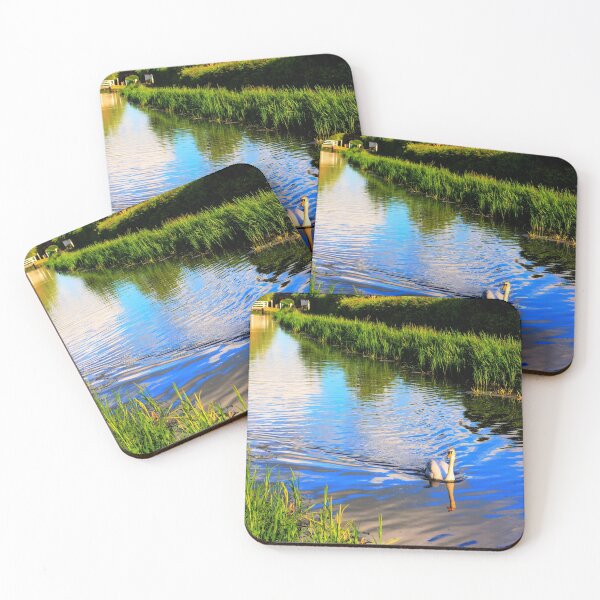 Item preview, Swan on canal swimming gracefully Somerset England near Taunton UK designed and sold by acceleratorhams.