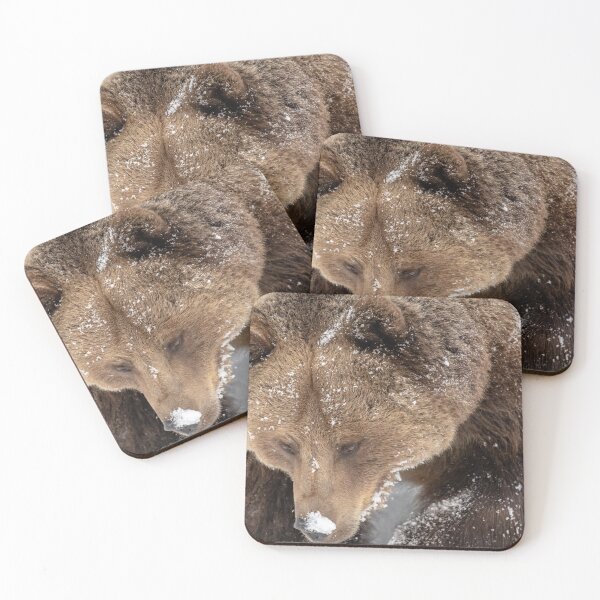 Item preview, Brown bear in the snow designed and sold by Ingo Gerlach.