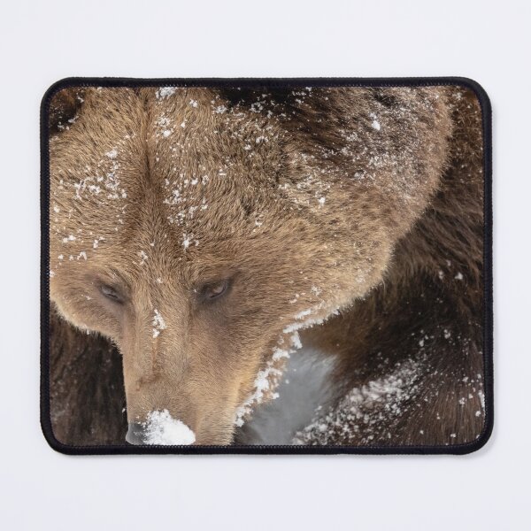 Item preview, Brown bear in the snow designed and sold by Ingo Gerlach.