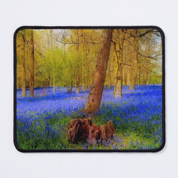 Item preview, Bluebell Woods Greys Court Oxfordshire England UK designed and sold by AndyEvansPhotos.
