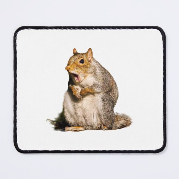 Item preview, Squirrel what? designed and sold by Verde-the-hero.