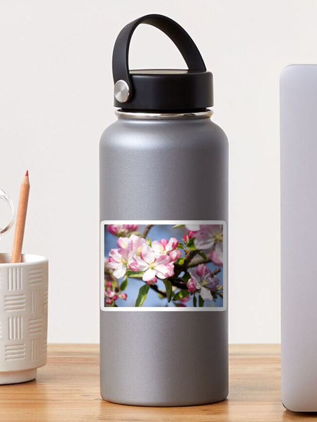 Thumbnail 1 of 3, Sticker, Spring Apple Blossom designed and sold by BeckmogArt.