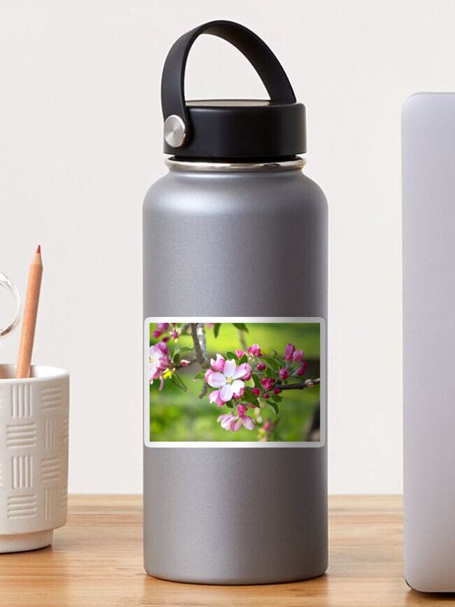 Thumbnail 1 of 3, Sticker, Beautiful Blossom designed and sold by BeckmogArt.