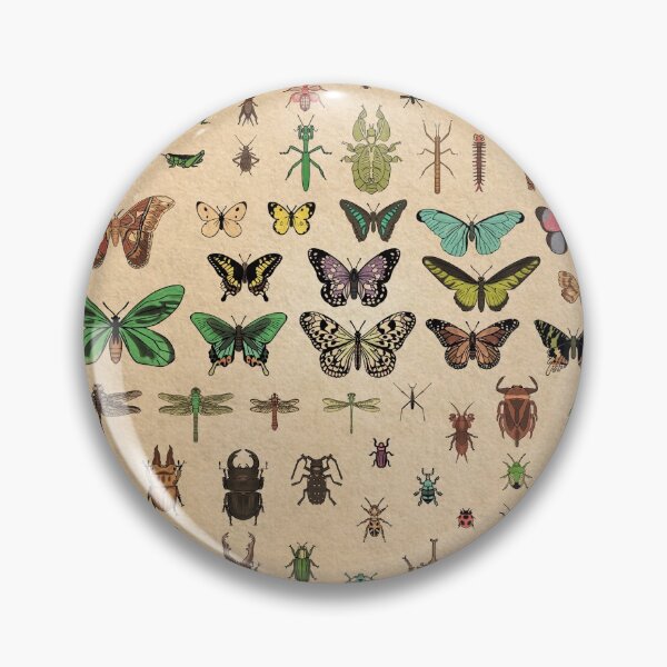 Item preview, Island Museum Bug Exhibit designed and sold by MilkandMomo.