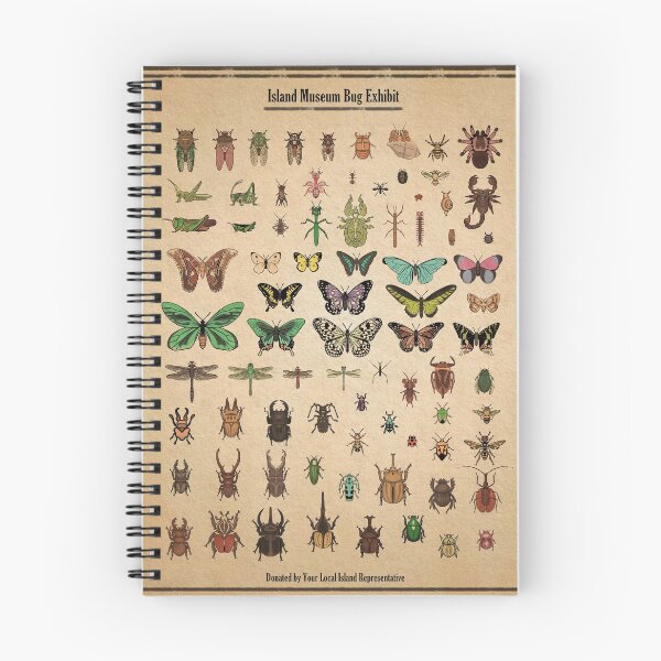 Item preview, Island Museum Bug Exhibit designed and sold by MilkandMomo.