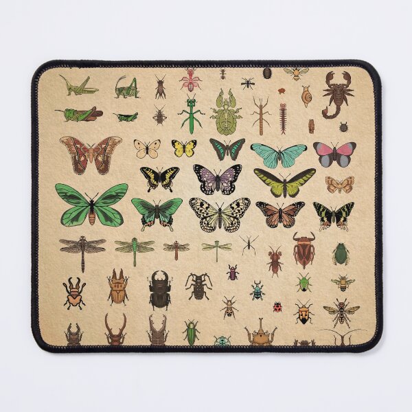 Item preview, Island Museum Bug Exhibit designed and sold by MilkandMomo.
