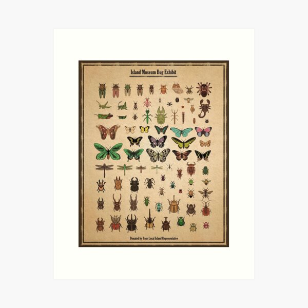 Item preview, Island Museum Bug Exhibit designed and sold by MilkandMomo.