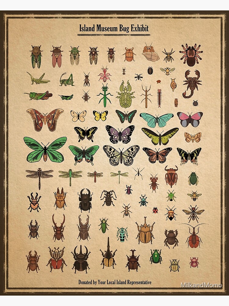 Thumbnail 3 of 3, Poster, Island Museum Bug Exhibit designed and sold by MilkandMomo.