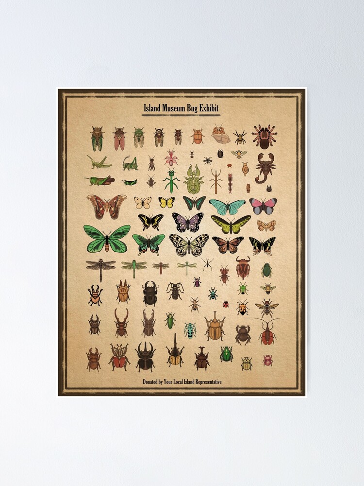 Thumbnail 1 of 3, Poster, Island Museum Bug Exhibit designed and sold by MilkandMomo.