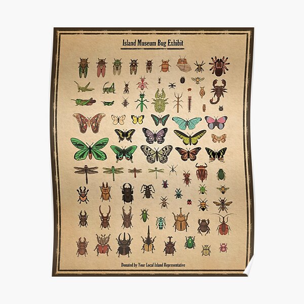 Island Museum Bug Exhibit Poster