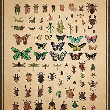Artwork thumbnail, Island Museum Bug Exhibit by MilkandMomo