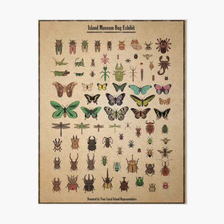Artikel-Vorschau von Insektenausstellung im Inselmuseum, designt und verkauft von MilkandMomo.