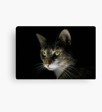 Caturday Portait Canvas Print